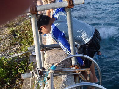 Ａコース