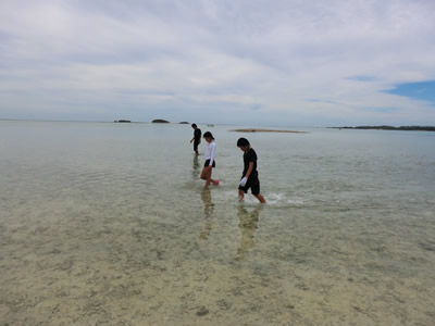 Ｃコース