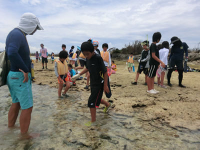 Ｃコース